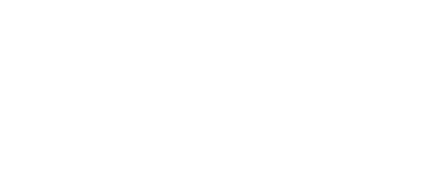 Domino S Anyware